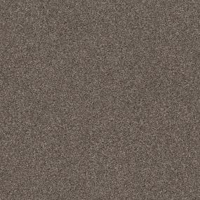 Casual Texture Bistre Brown Carpet