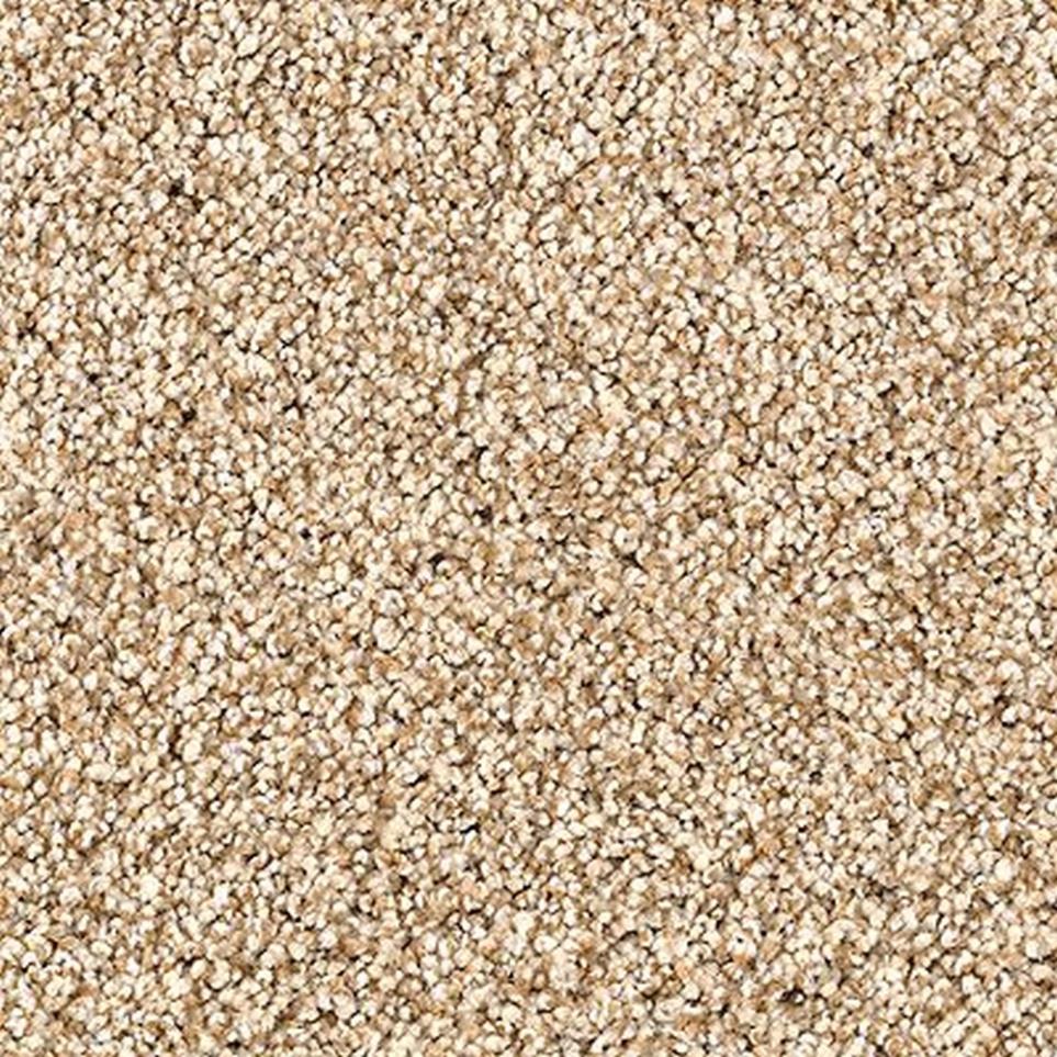 Textured Saxony Parchment Beige/Tan Carpet