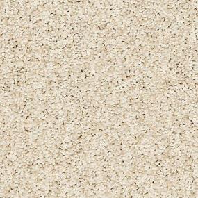 Textured Saxony Bashful Beige/Tan Carpet