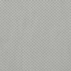 Pattern Chic Stone Gray Carpet