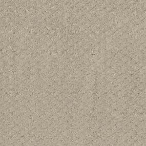 Pattern Cold Canyon Beige/Tan Carpet