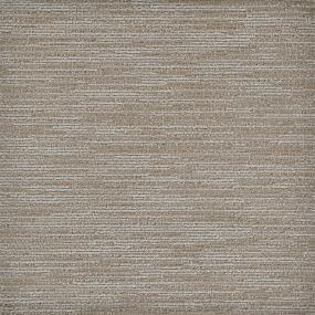 Pattern Bengal Brown Carpet