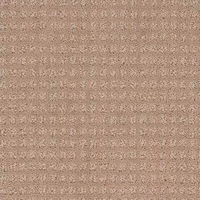 Pattern Vintage Tan Beige/Tan Carpet