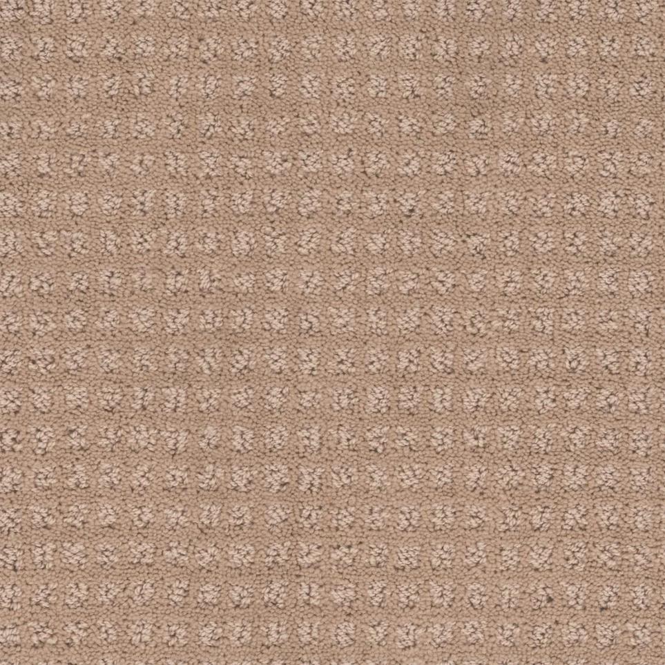 Pattern Vintage Tan Beige/Tan Carpet