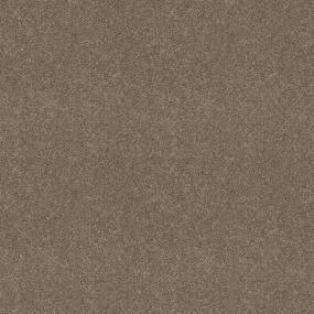 Textured Saxony Moccasin Brown Carpet