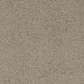 Textured Saxony Quarry Beige/Tan Carpet