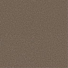 Plush Saxony Muffin Brown Carpet