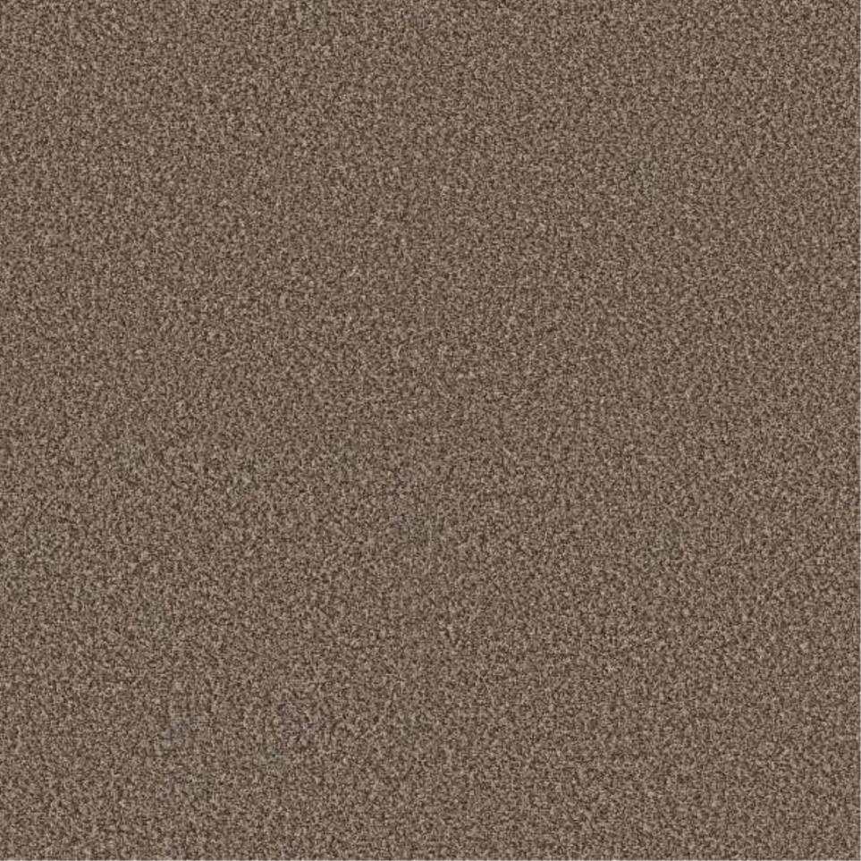 Plush Saxony Muffin Brown Carpet