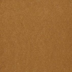 Cut Pile Beeswax Brown Carpet