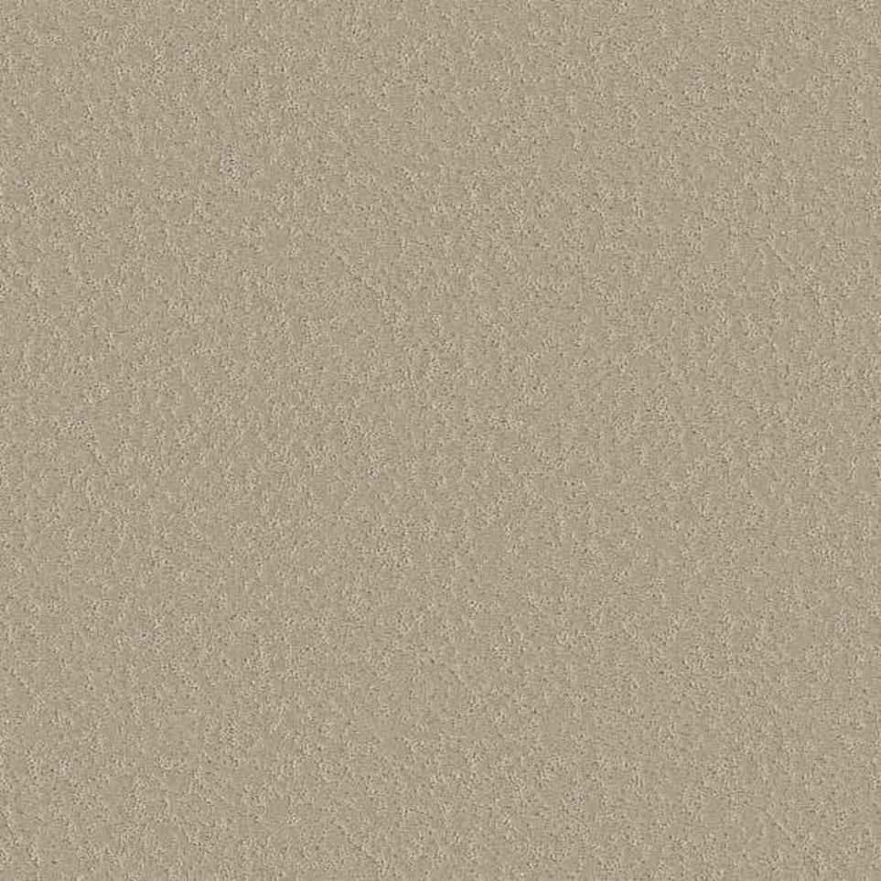Pattern Mushroom Beige/Tan Carpet