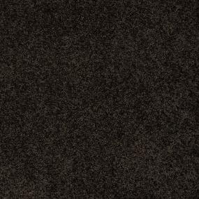 Textured Saxony Dark Roast Black Carpet
