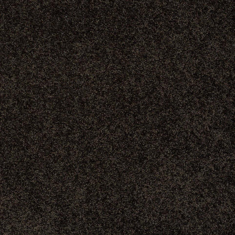Texture Dark Roast Black Carpet