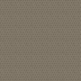 Pattern Chicory Beige/Tan Carpet