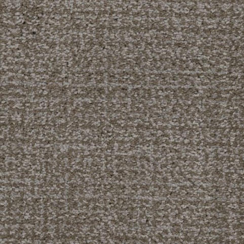 Pattern Brad Pitbull Brown Carpet