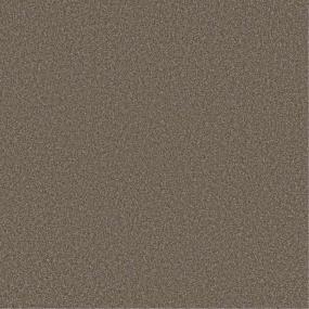 Textured Saxony Prairie Brown Carpet