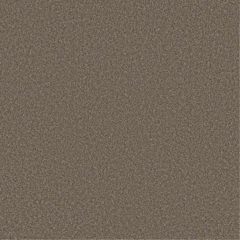 Textured Saxony Prairie Brown Carpet