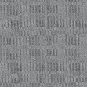 Loop Solitude Gray Carpet