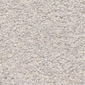 Casual Texture Franela Gray Carpet