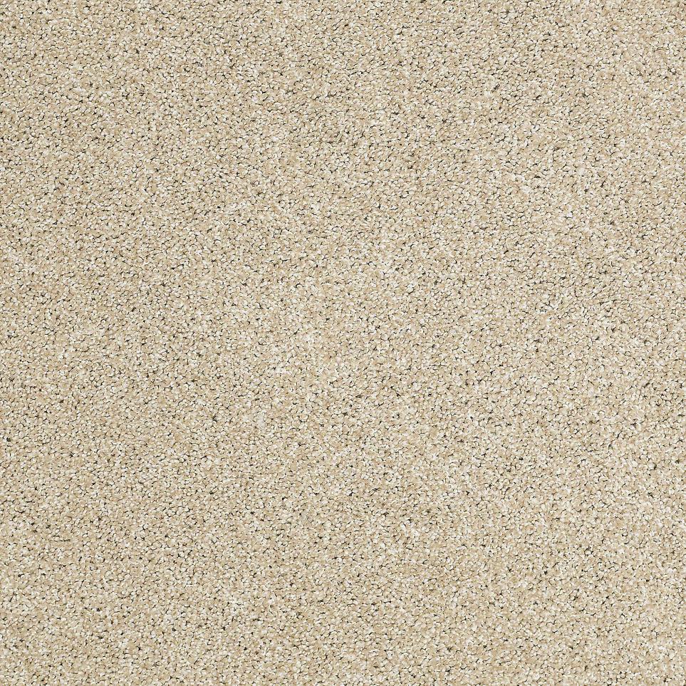 Texture Beach Comber Beige/Tan Carpet