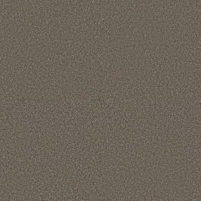 Textured Saxony Briar Patch Brown Carpet