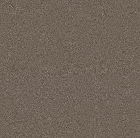 Textured Saxony Briar Patch Brown Carpet