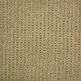 Pattern Sand Beige/Tan Carpet