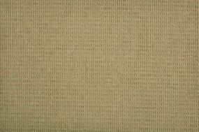 Pattern Sand Beige/Tan Carpet