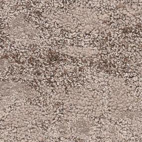 Pattern Oak Street Beige/Tan Carpet
